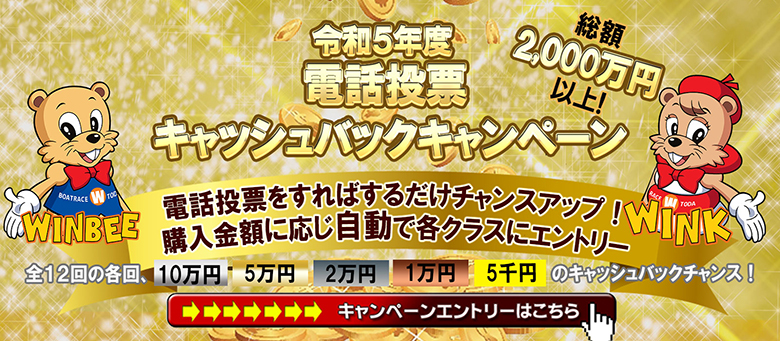 電話投票キャンペーン