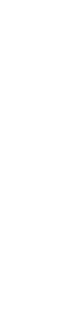 インターネット投票